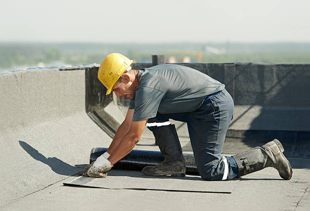 Best Specialized Insulation Services in Jersey Shore, PA